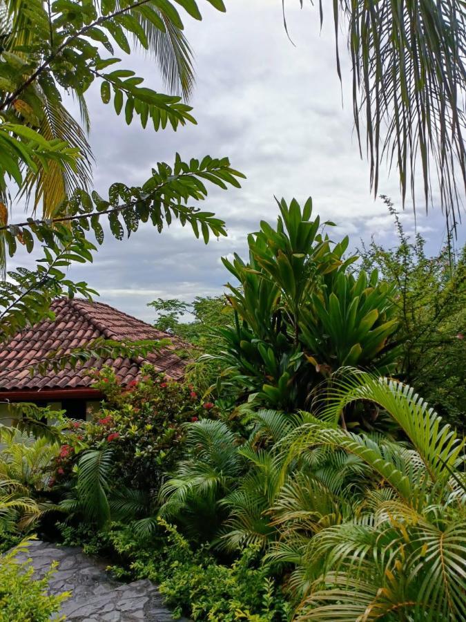 Finca Los Caballos Montezuma Exterior foto