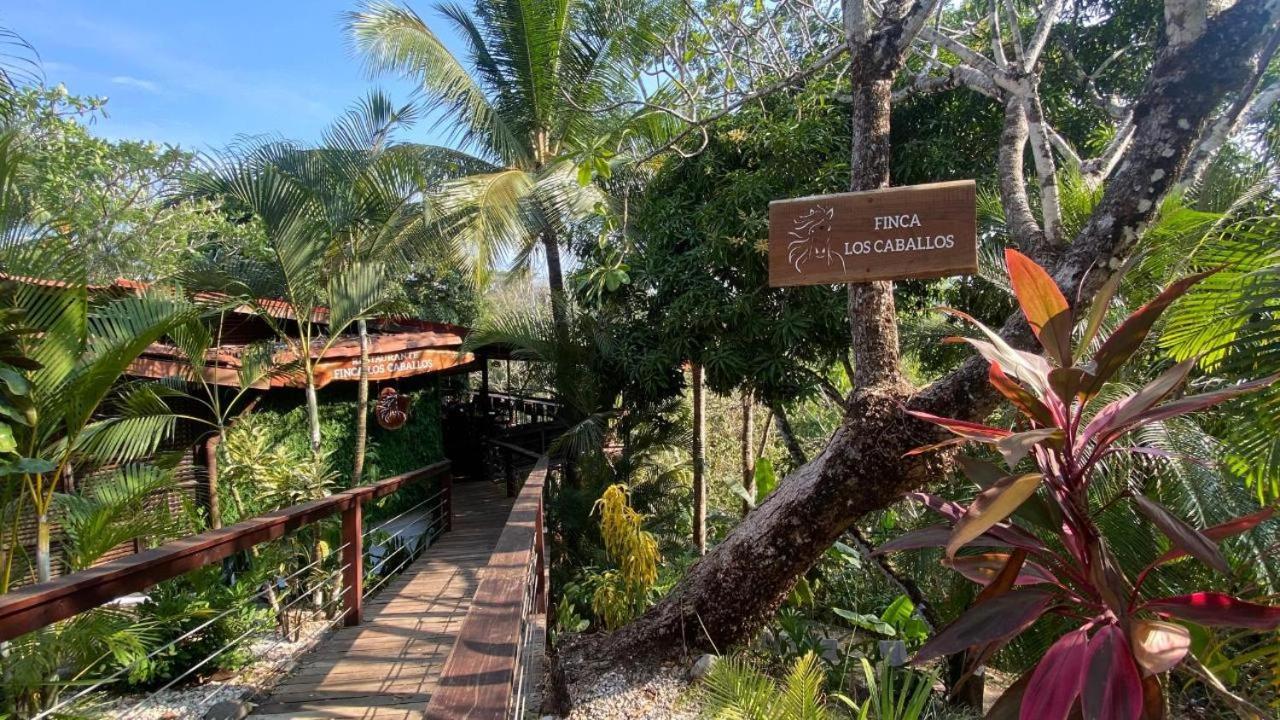 Finca Los Caballos Montezuma Exterior foto